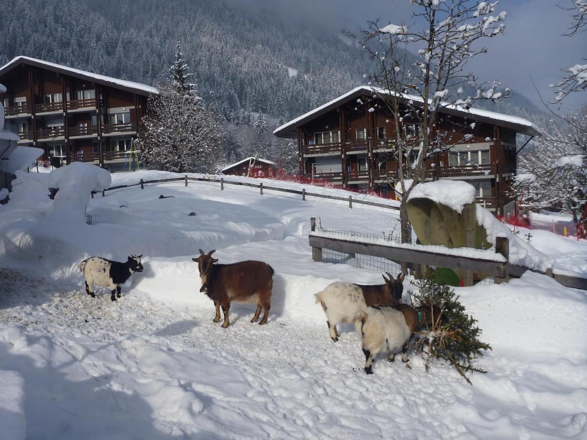 Reka-Feriendorf Lenk Hotel Eksteriør billede